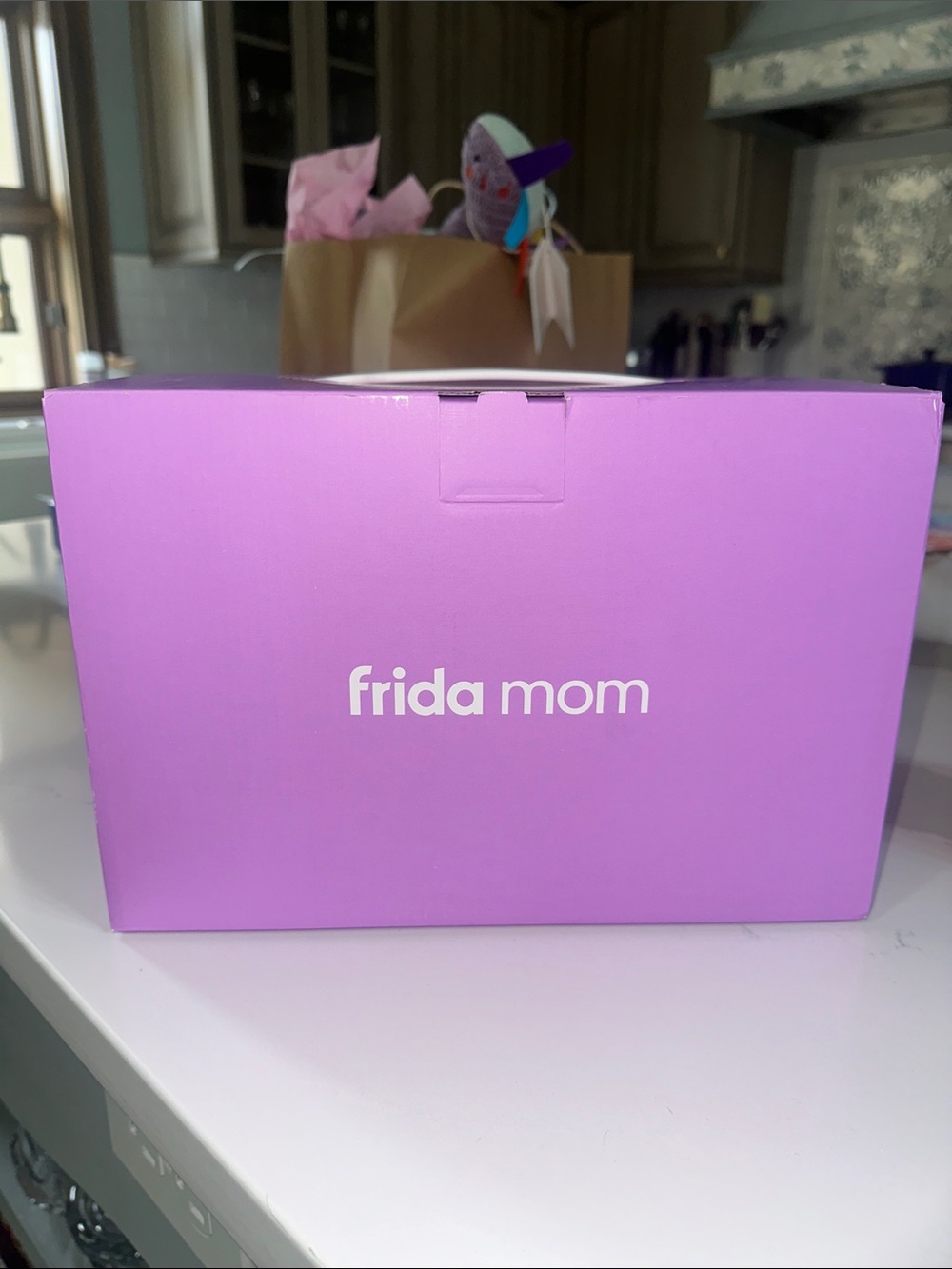 Frida Mom Postpartum Kit